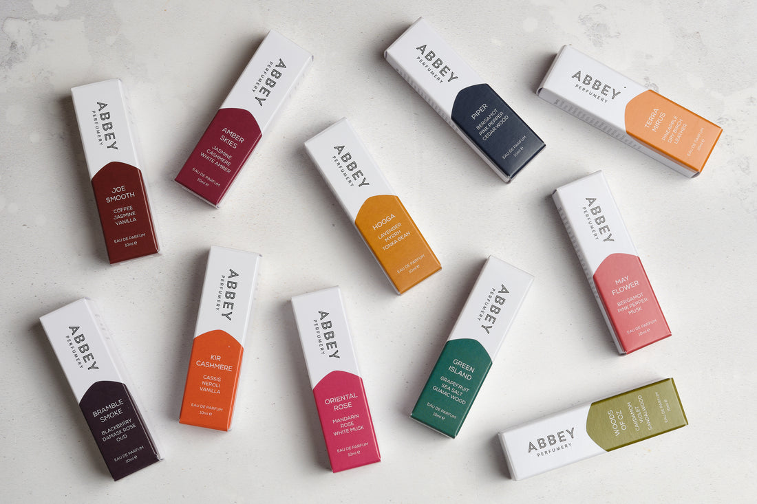 Black Friday Offer 2024