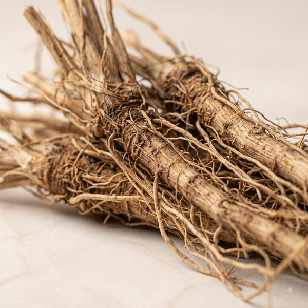 Vetiver
